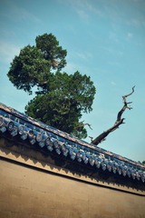 天坛