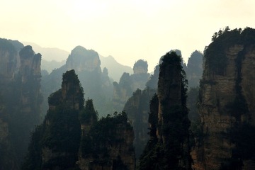 DSC_8516-1.jpg