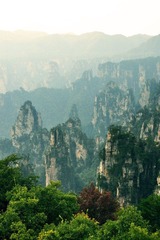 DSC_8584-1.jpg