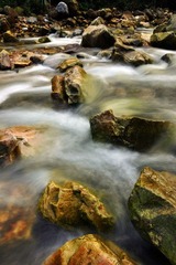 DSC_8673-1.jpg
