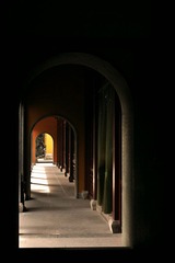 DSC_9185-1.jpg