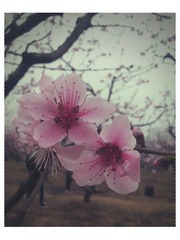 20140318_14349