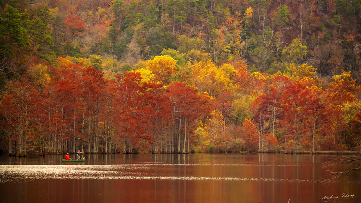 俄克拉荷马秋天的红松林