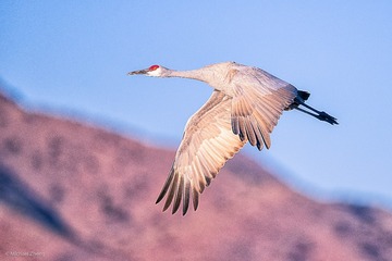 _85U7063-Edit-Edit