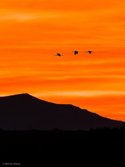 _F0A3047-Edit