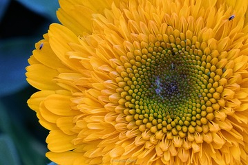 _U2A5455-Edit-Edit-3