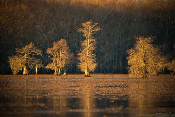 _85U2520-Edit