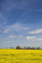 00DJI_0435