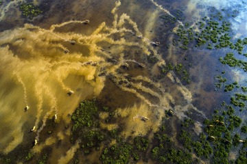 DJI_0137