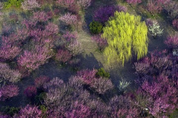 DJI_0030