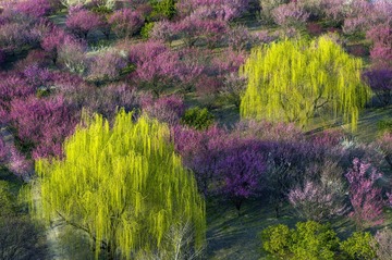 DJI_0001