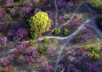 DJI_0008