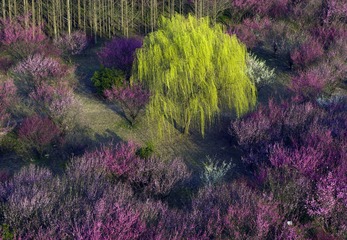 DJI_0035