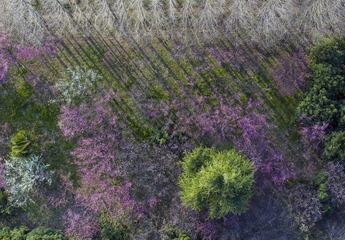 DJI_0020