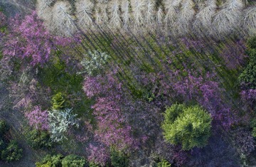 DJI_0022