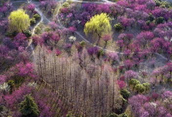 DJI_0015