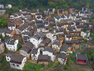 Aerial shooting of China's rural production and life scenes (191)