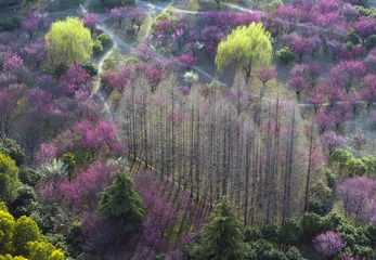 00DJI_0016