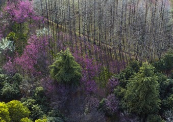 DJI_0018