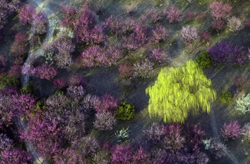DJI_0005