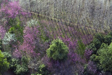 DJI_0019