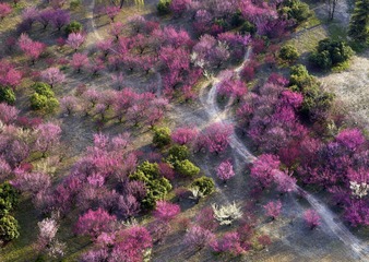 DJI_0011