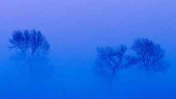 _DSC2544