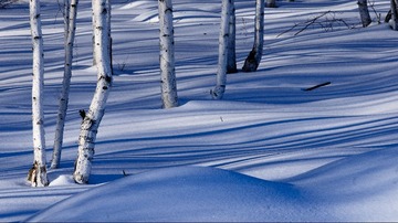 _DSC1817