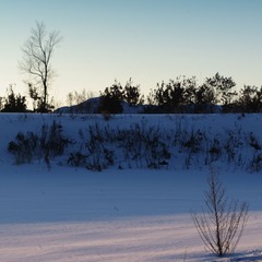 _DSC1894
