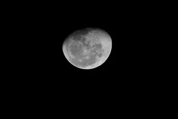 IMG_0974.jpg