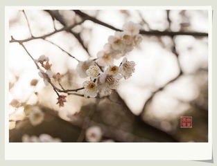 IMG_7041wt_