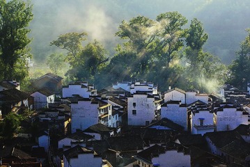 _IGP3542
