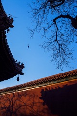 IMG_1071_