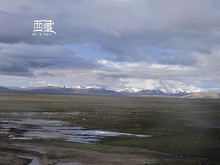 IMG_2294_1