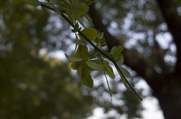_R010214