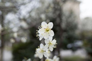_R010541