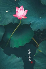 001