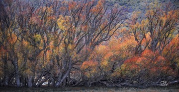 8FJ_0806_2
