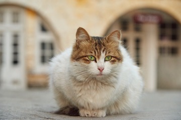 DSC_1182_调整大小
