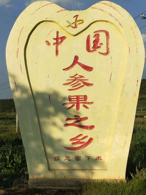 石林西街口镇人参果节