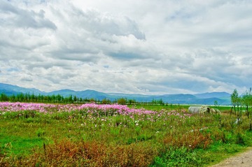 _IGP0813.jpg