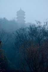 _IGP9970.jpg