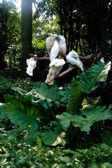 DSCF9494.jpg