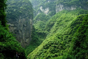 DSCF0135.jpg