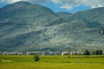 DSCF0478.jpg