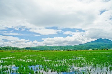_IGP0839.jpg