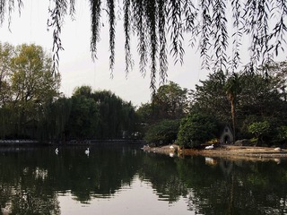 家园，姚星