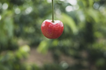 R0000128