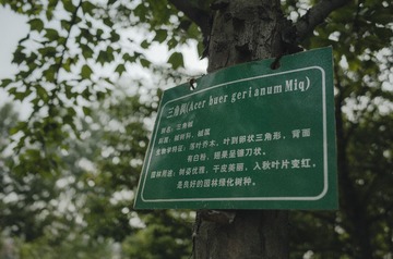 R00006581