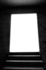 R00008681!!